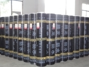 【防水卷材】相冊、圖片- 湖南騰龍科技集團