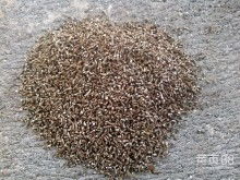 2018輪胎價(jià)格 報(bào)價(jià) 輪胎批發(fā) 第37頁 汽車用品網(wǎng)