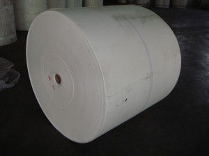 聚酯胎的特性與應用