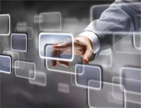 泰安廣寶寶馬信息咨詢服務 專業購車顧問，駕馭精彩未來